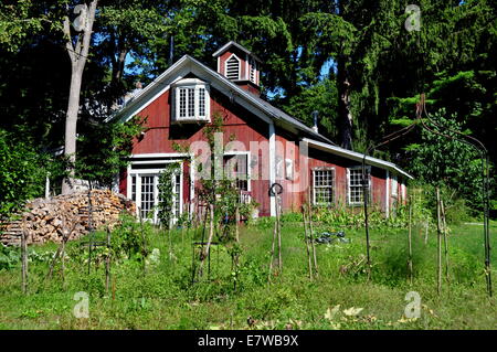 West Cornwall, Connecticut: kleines Holzhaus mit Kuppel auf dem Dach neben einem Feld abgesteckt Tomatenpflanzen Stockfoto