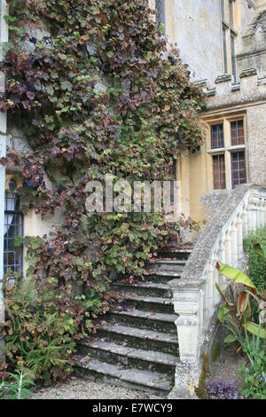 Sudeley Castle Seite Eingangstreppe mit Reben bedeckt Stockfoto