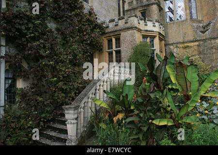 Sudeley Castle Seite Eingangstreppe mit Reben bedeckt Stockfoto