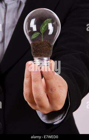 Geschäftsfrau hält Glühbirne mit wachsender Grünpflanze lässt innen isoliert auf weißem Hintergrund. Stockfoto