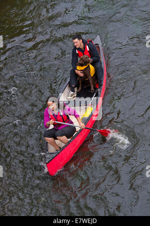 Mary-Ann ochata mit Partner Joe Craig mit Hund "harpo", Kanufahrten auf dem Fluss Severn bei Bridgnorth, Shropshire. Stockfoto