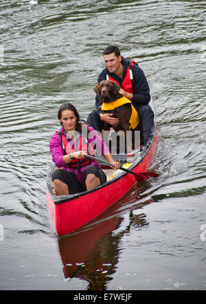 Mary-Ann ochata mit Partner Joe Craig mit Hund "harpo", Kanufahrten auf dem Fluss Severn bei Bridgnorth, Shropshire. Stockfoto