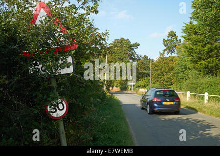 Stechpalme Bush versteckt ein Schule-Straße-Verkehrszeichen Stockfoto