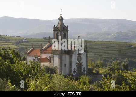 Quinta Cotto in der Douro-Region, Portugal Stockfoto