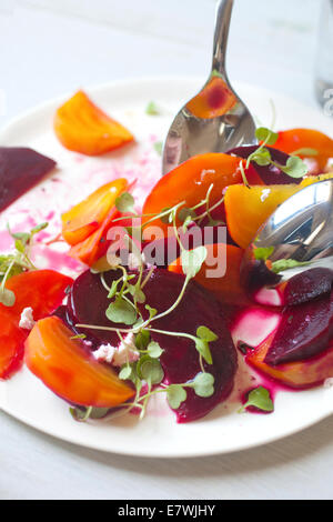 Farbenfroher Rüben-Salat serviert, auf weißem Teller und Hintergrund überzogen. Stockfoto