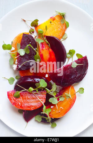 Farbenfroher Rüben-Salat auf weißem Teller und Hintergrund. Stockfoto