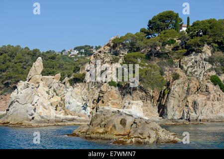 Blick Felsen Punta de s'Agulla brüllen botanischen Gartens Pinya de Rosa von Santa Cristina Höhle in Richtung Blanes, Costa Brava, Katalonien Stockfoto