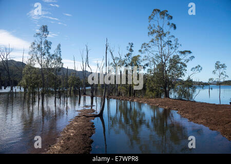 Versunkene Wald, Forêt Noyée auf Yaté Dam, Lac de Yaté, Süden Provinz Grande Terre, Neu-Kaledonien Stockfoto