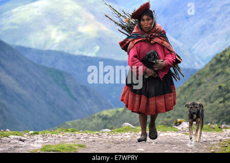 Ältere Frau in traditioneller Tracht, während Holz, das von einem jungen Hund, Anden begleitet sammeln, in der Nähe von Cusco, Peru Stockfoto