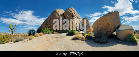 Riesige Granitfelsen von Split Felsen mit einem Joshua Tree oder Palm Tree Yucca (Yucca Brevifolia), Joshua Tree Nationalpark Stockfoto