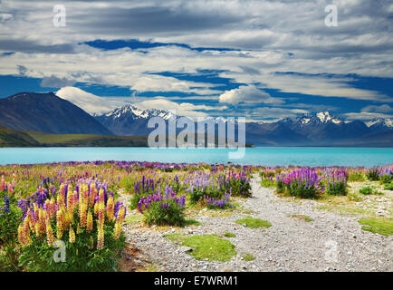 Lake Tekapo, Südalpen, New Zealand Stockfoto