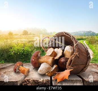 Pilze in einem Korb auf Holztisch Stockfoto
