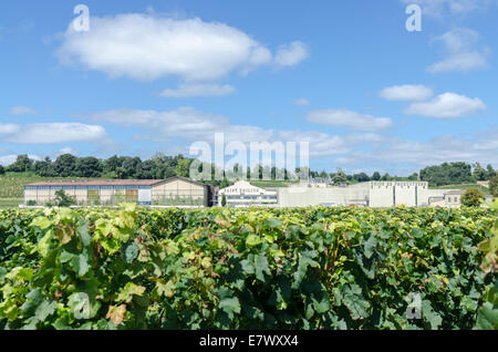 Saint Emilion Union de Producteurs Wein Produzent kooperative in St. Emilion, Bordeaux Stockfoto