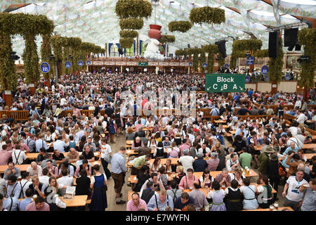 München, Deutschland. 24. Sep, 2014. Menschen drängen sich in der Hofbraeu-Zelt auf dem Oktoberfest in München, Deutschland, 24. September 2014. Das Oktoberfest dauert bis zum 5. Oktober 2014. Bildnachweis: Dpa picture Alliance/Alamy Live News Stockfoto