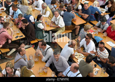 München, Deutschland. 24. Sep, 2014. Menschen drängen sich in der Hofbraeu-Zelt auf dem Oktoberfest in München, Deutschland, 24. September 2014. Das Oktoberfest dauert bis zum 5. Oktober 2014. Bildnachweis: Dpa picture Alliance/Alamy Live News Stockfoto