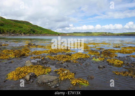 Die Bucht am See Bharcasaig in der Nähe von Dunvegan auf der Isle Of Skye, Schottland. Stockfoto