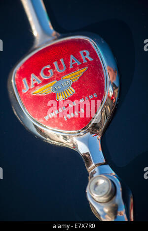 Jaguar XK 140 Sieger Le Mans 1951-3 - Detail des Autos geparkt auf dem Marktplatz, Krakau, Polen im September Stockfoto