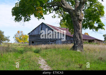 Eine alte Scheune auf Manitoulin Island, Ontario. Stockfoto