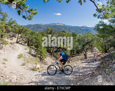 Male Reiseführer & Mittelschule Kinder im Alter von 10-14 Mountain Bike auf dem kleinen Regenbogen Trail, Salida, Colorado, USA Stockfoto