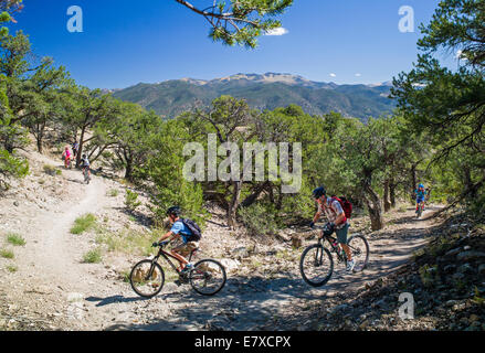 Male Reiseführer & Mittelschule Kinder im Alter von 10-14 Mountain Bike auf dem kleinen Regenbogen Trail, Salida, Colorado, USA Stockfoto