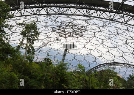 Das Regenwald-Biom im Eden Project in Cornwall Stockfoto