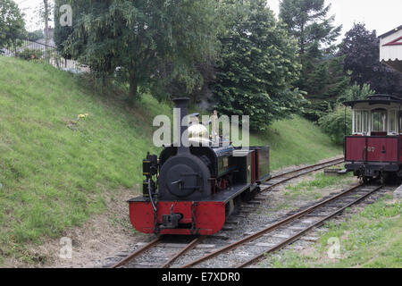 0-4-0 tank Motor Lilian auf die Launceston Steam Railway Stockfoto