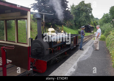 0-4-0 tank Motor Lilian auf die Launceston Steam Railway Stockfoto