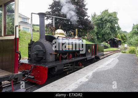 0-4-0 tank Motor Lilian auf die Launceston Steam Railway Stockfoto