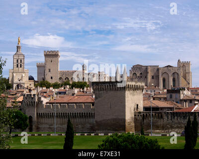 Avignon, Kathedrale Notre-Dame-des Doms und Papstpalast. UNESCO-Weltkulturerbe, Vaucluse, Provence-Alpes-Cote d'Azur, Frankreich Stockfoto