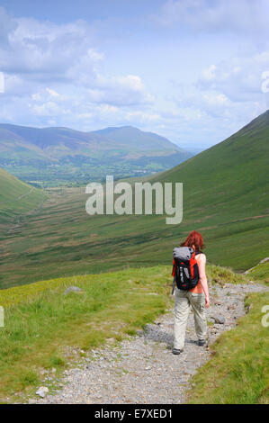 Wandern im Tal Coledale, Lake District. Stockfoto