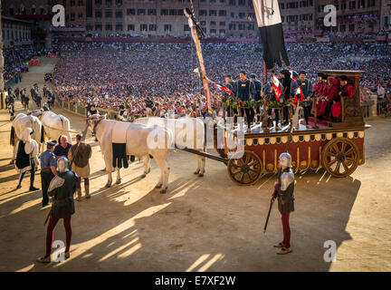 Bull-Wagen bei der historischen Parade vor das Pferderennen Palio di Siena, Siena, Toskana, Italien Stockfoto
