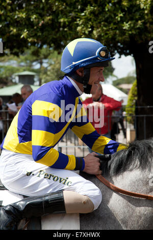 Jockey reitet Pferd entlang der Strecke, die Vorbereitung auf Rennen Nummer eins Stockfoto