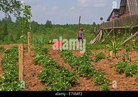 Arbeiten Sie in der Casa Rural. Küche Garten neben dem Haus. Stockfoto