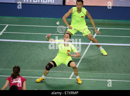 Incheon, Südkorea. 26. September 2014. Zhao Yunlei (vorne) von China gibt den Federball während der Badminton Mixed Doppel Runde 16 Match gegen Hayakawa Kenichi und Matsutomo Misaki von Japan bei den 17. Asian Games in Incheon, Südkorea, 26. September 2014 zurück. Zhang Nan und Zhao Yunlei gewann 2: 0. © Ihr Pingfan/Xinhua/Alamy Live-Nachrichten Stockfoto