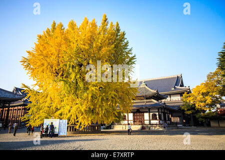 Kyoto, Japan - 24. November 2013: Nishi Hongan-Ji "Westlichen Tempel des ursprünglichen Gelübdes" ist einer der beiden Tempelanlagen der Jodo-S Stockfoto