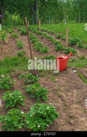 Arbeiten Sie in der Casa Rural. Küche Garten neben dem Haus. Stockfoto