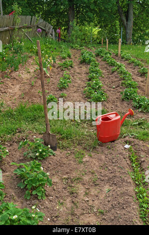 Arbeiten Sie in der Casa Rural. Küche Garten neben dem Haus. Stockfoto