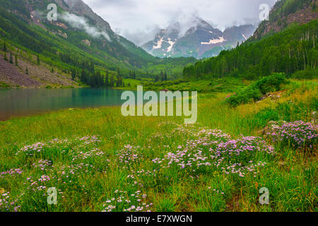 Sommer von Maroon bell Stockfoto