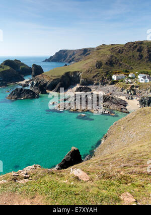 Türkisblauen klaren Meer Kynance Cove The Lizard in der Nähe von Helston Cornwall England UK an einem schönen sonnigen Sommertag Stockfoto