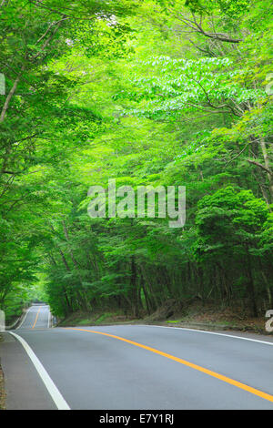 Straße auf dem Lande Stockfoto