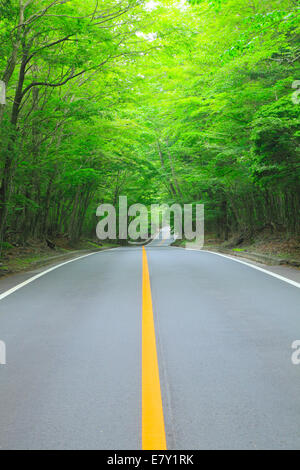 Straße auf dem Lande Stockfoto