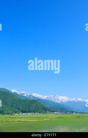 Präfektur Nagano, Japan Stockfoto