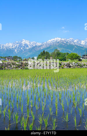 Präfektur Nagano, Japan Stockfoto