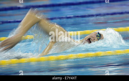 (140926)--INCHEON, 26. September 2014 (Xinhua)--Sun Yang von China schwimmt während die Männer 1.500 m Freistil schnellste Hitze der Schwimmwettbewerb am 17. Asian Games in Incheon, Südkorea, 26. September 2014. (Xinhua/Wang Peng) (Mcg) Stockfoto