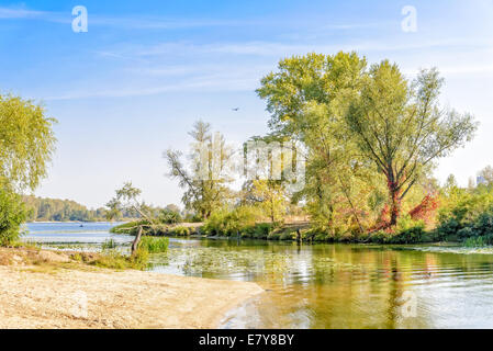 Schöner Abschluss der Sommertag in der Nähe des Flusses mit Pflanzen und Bäumen rund um Stockfoto