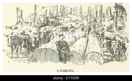 Eine Illustration aus der Veröffentlichung von 1891, die die Holzfällerei im Bundesstaat Washington darstellt. Das Bild zeigt die Holzindustrie und zeigt die Arbeiter und die Methoden zur Holzernte im pazifischen Nordwesten. Stockfoto