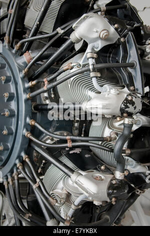 Pratt und Whitney Flugmotor. Stockfoto