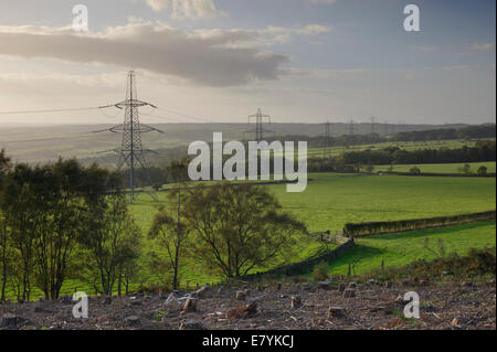Übertragung Türme AKA Strommasten quer durch eine schöne Landschaft an einem sonnigen Abend. Stockfoto