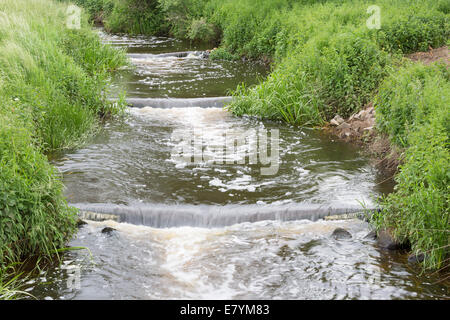 Kleine Fische Leiter entlang einer Flut im niederländischen Fluss Vecht Stockfoto