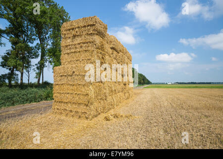 Niederländische Ackerland mit einem Heuhaufen auf einem abgeernteten Weizenfeld Stockfoto